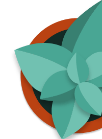 prix-création-site-vitrine-freelance-des-solutions-pour-tous-les-budgets